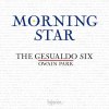 Morning Star - The Gesualdo Six, Park (Hyperion)